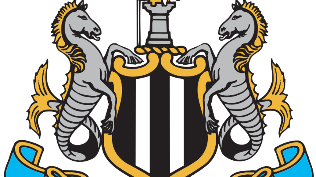 Ньюкасл Лига чемпионов — Ньюкасл прошел в 1/8 финала Лиги чемпионов УЕФА