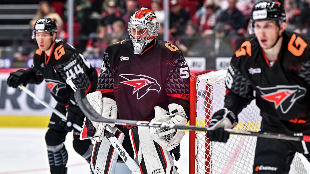 Динамо Москва Авангард матч — Матч КХЛ: Динамо Москва против Авангарда 1 февраля