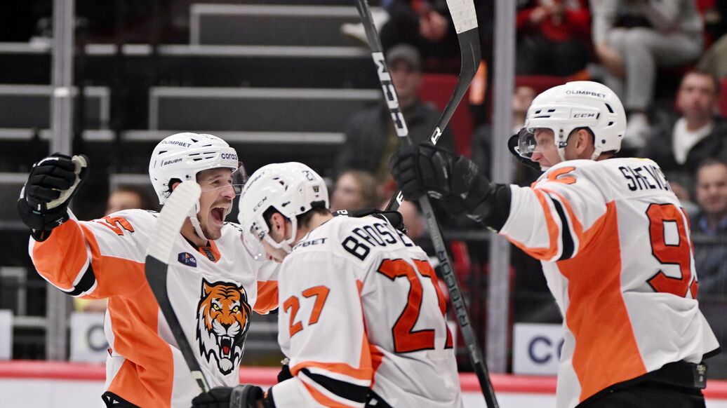 драка хоккеистов, Амур Нефтехимик — Конфликт между хоккеистами "Амура" и "Нефтехимика"