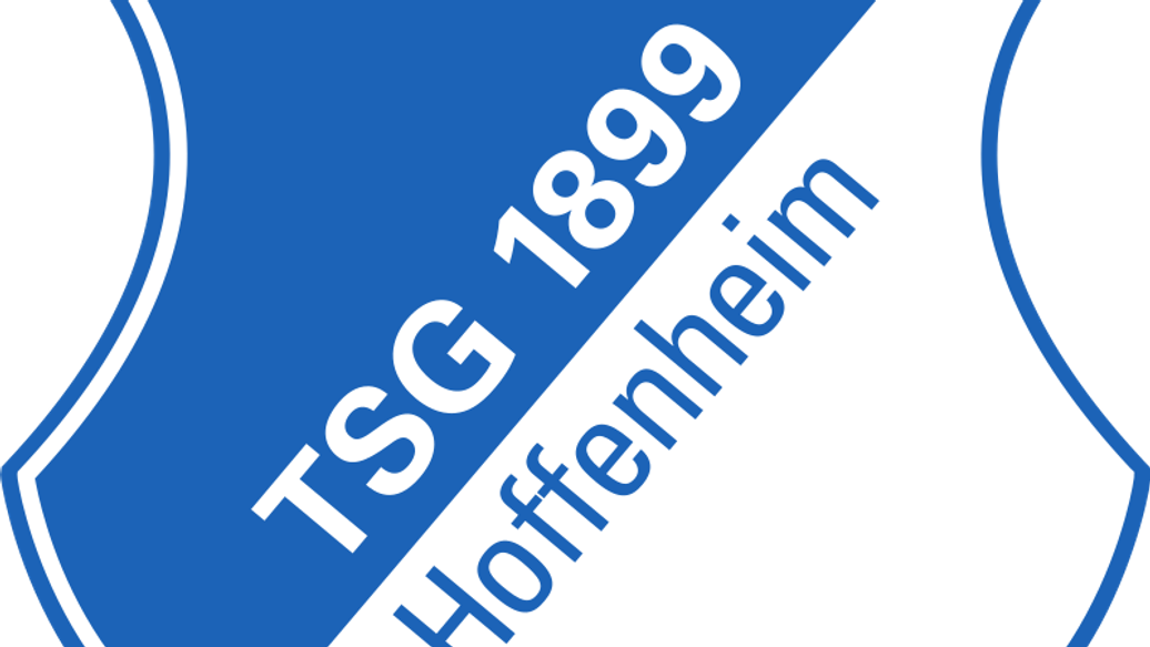 Хоффенхайм обыграл Вердер — «Хоффенхайм» одержал победу над «Вердером» в гостевом матче Бундеслиги