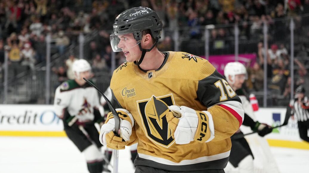 Дорофеев Вегас Чикаго — Дубль Дорофеева обеспечил победу "Вегаса" над "Чикаго"